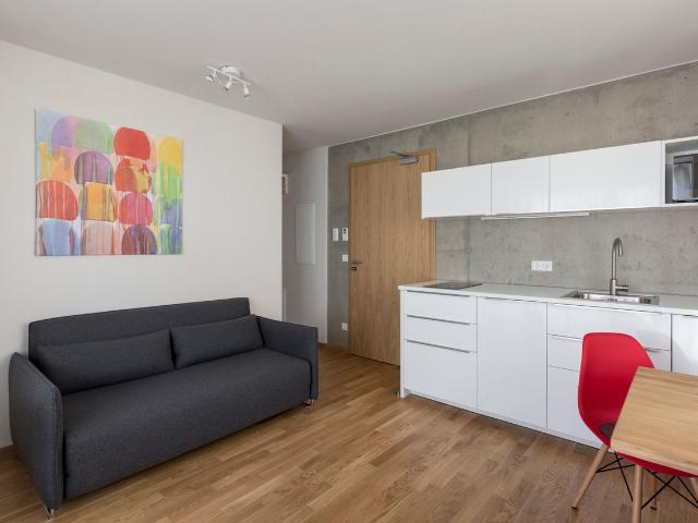 2 room premium apartment in Nürnberg, Nurnberg Amsterdam Apartments for Rent