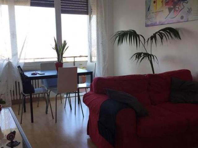 2 stanze in affitto