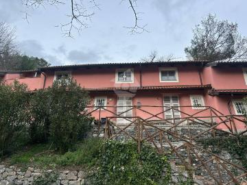 2 stanze in affitto