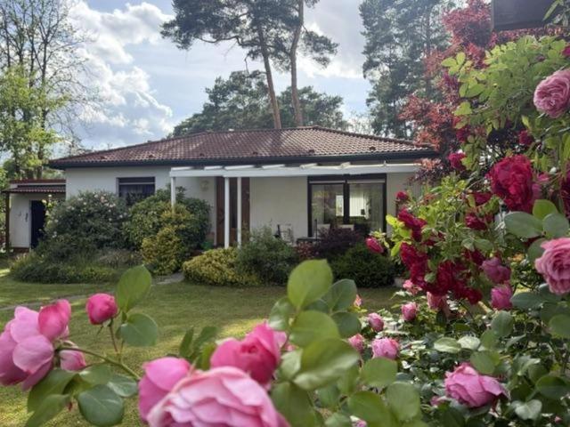 2 Schlafzimmer Villa Königs Wusterhausen OT Senzig Königs Wusterhausen OT Senzig 105644498