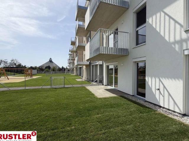 2 Schlafzimmer Wohnung Niederösterreich Niederösterreich 105605774