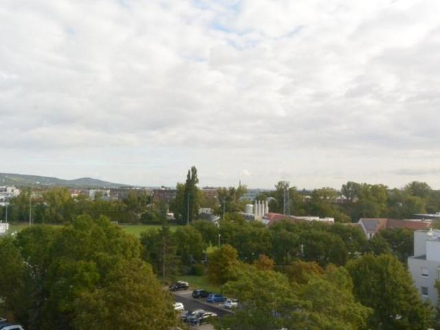 2 Schlafzimmer Wohnung Niederösterreich Niederösterreich 105645764
