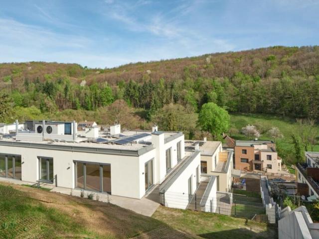 2 Schlafzimmer Wohnung Niederösterreich Niederösterreich 105655688
