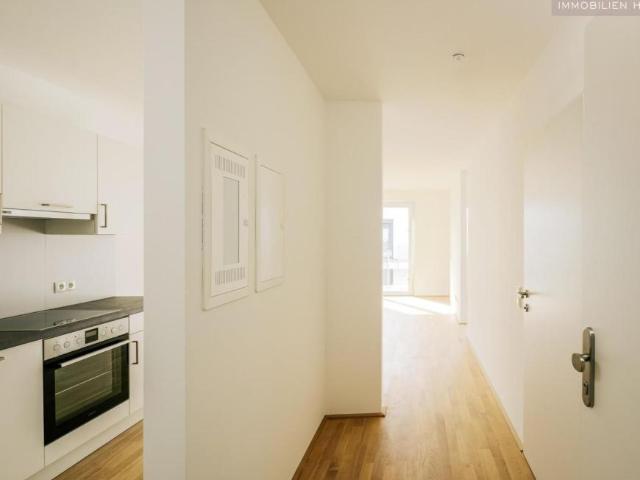 2 Schlafzimmer Wohnung Niederösterreich Niederösterreich 105676441