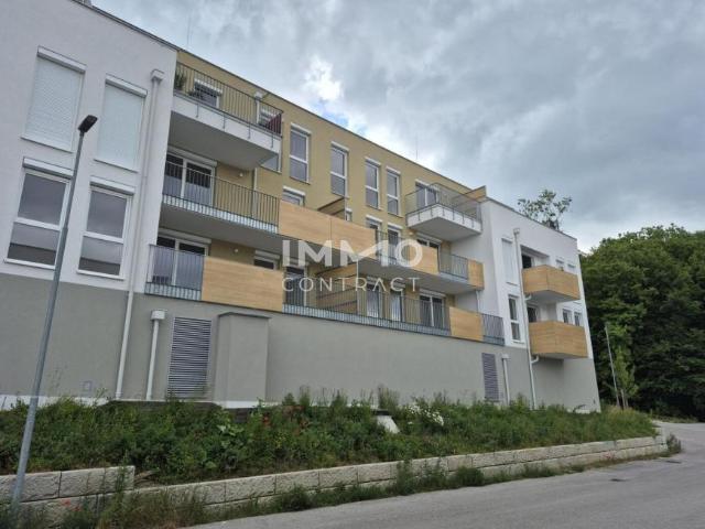 2 Schlafzimmer Wohnung Niederösterreich Niederösterreich 105055798