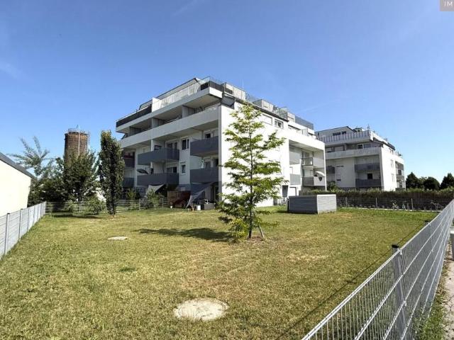 2 Schlafzimmer Wohnung Niederösterreich Niederösterreich 105338843