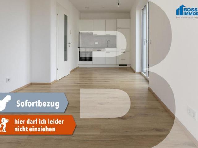 2 Schlafzimmer Wohnung Oberösterreich Oberösterreich 105010704