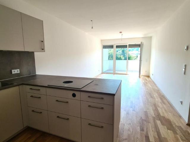 2 Schlafzimmer Wohnung Oberösterreich Oberösterreich 105034257