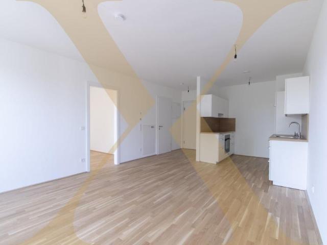 2 Schlafzimmer Wohnung Oberösterreich Oberösterreich 105035629