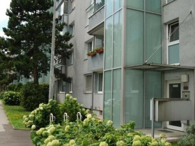 2 Schlafzimmer Wohnung Oberösterreich Oberösterreich 105760383