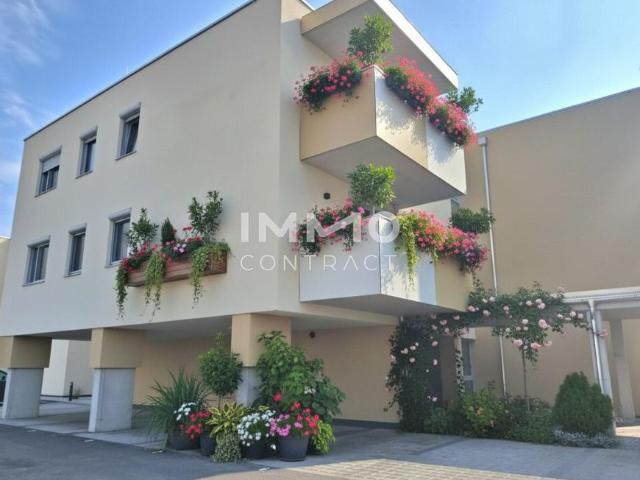 2 Schlafzimmer Wohnung Burgenland Burgenland 105055285