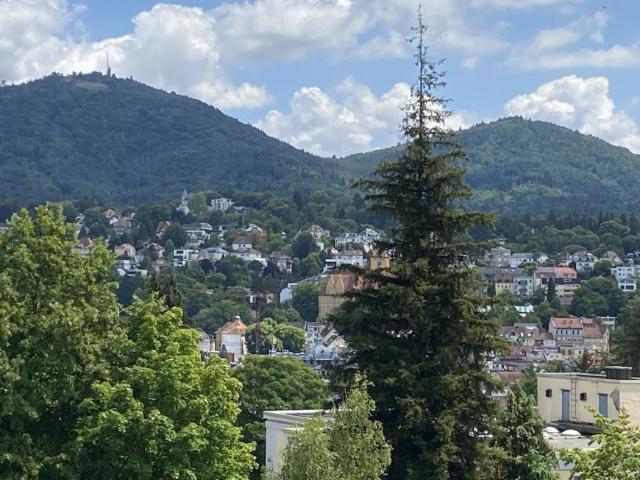 2 Schlafzimmer Wohnung Baden Deutschland 102772138