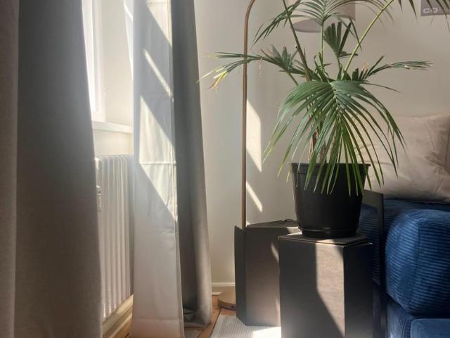 2 Schlafzimmer Wohnung Berlin Deutschland 104072884