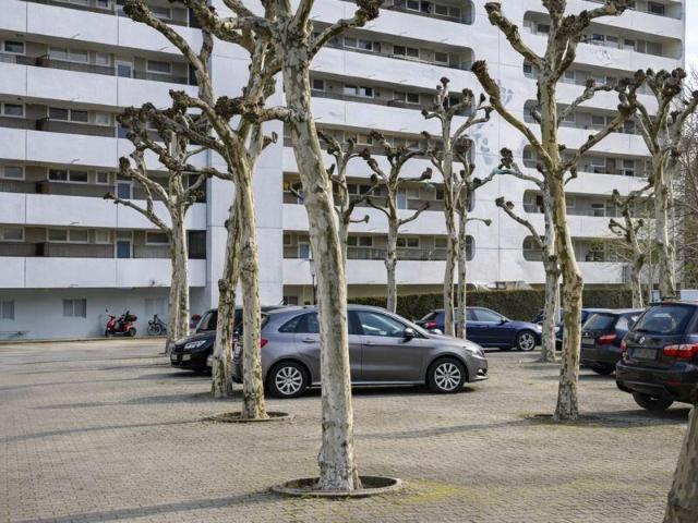 2 Schlafzimmer Wohnung Dietzenbach Deutschland 104825759