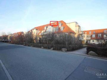 Zirkusstraße, Pirnaische Vorstadt, Altstadt, Dresden