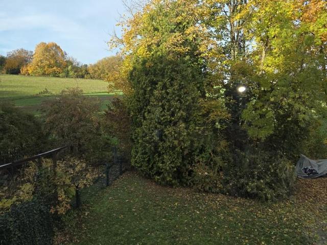 2 Schlafzimmer Wohnung Flörsheim Deutschland 104843586
