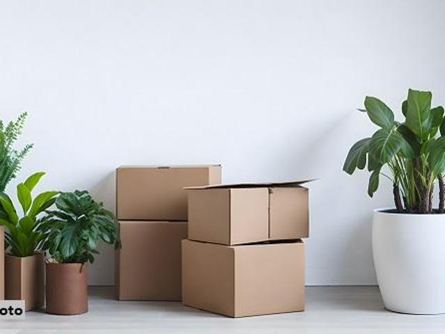 2 Schlafzimmer Wohnung Gelsenkirchen Deutschland 104911460