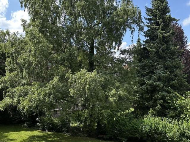2 Schlafzimmer Wohnung Hamburg Deutschland 104536954