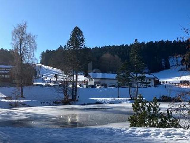 2 Schlafzimmer Wohnung Herrischried Herrischried 106193133