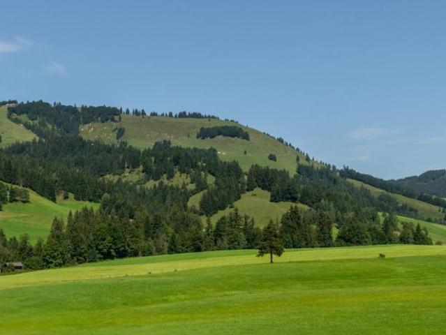 2 Schlafzimmer Wohnung Hochfilzen Hochfilzen 105121660