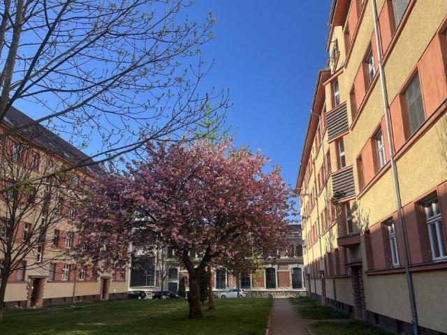 2 Schlafzimmer Wohnung Leipzig Deutschland 105036300
