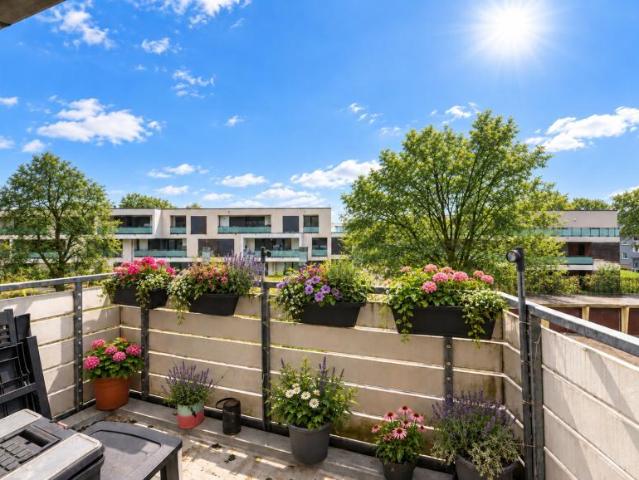 2 Schlafzimmer Wohnung Leverkusen Leverkusen 105907193