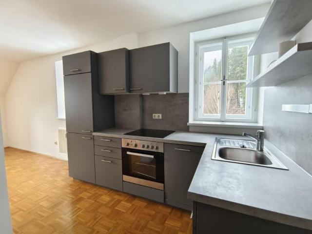 2 Schlafzimmer Wohnung Steiermark Steiermark 105421465
