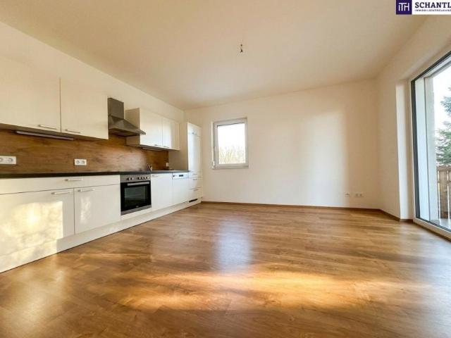 2 Schlafzimmer Wohnung Steiermark Steiermark 105545282