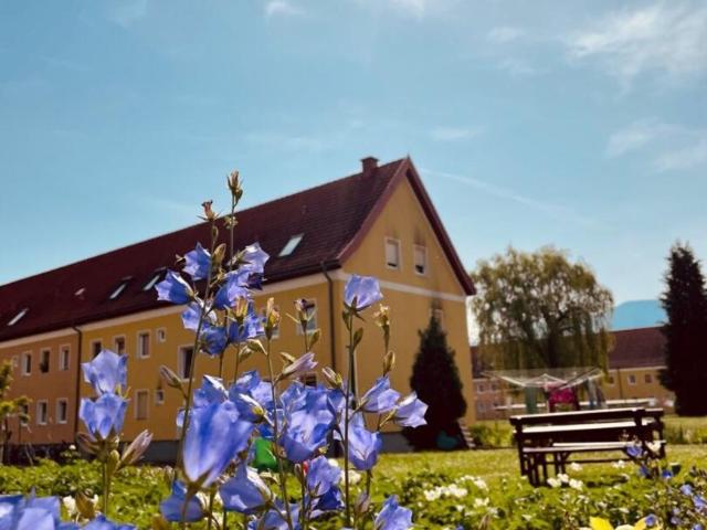 2 Schlafzimmer Wohnung Steiermark Steiermark 105908207
