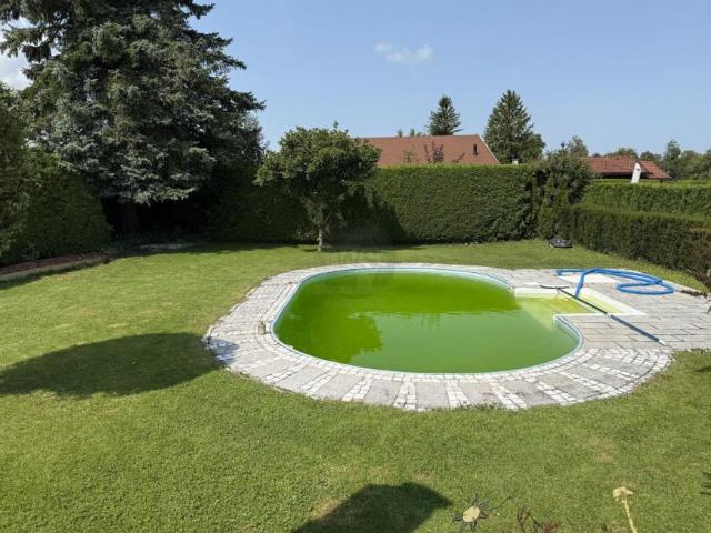 2 Schlafzimmer Wohnung Steiermark Steiermark 105056516
