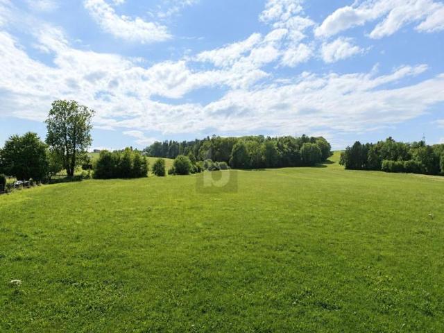 2 Schlafzimmer Wohnung Salzburg Salzburg 104755493