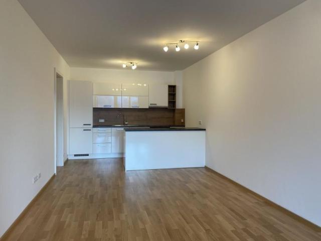 2 Schlafzimmer Wohnung Salzburg Salzburg 105605525