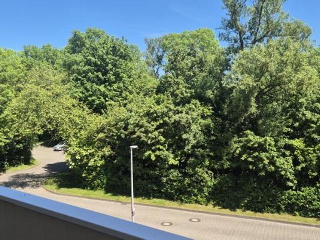 2 Schlafzimmer Wohnung Schönberg Deutschland 103841576