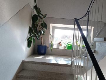 2 Schlafzimmer Wohnung Wennigsen Deutschland 101795262