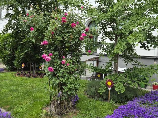 2 Schlafzimmer Wohnung Wien AUT 103696991