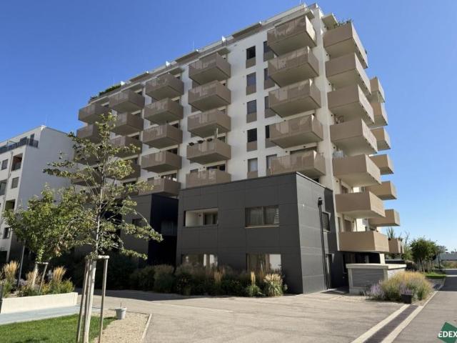 2 Schlafzimmer Wohnung Wien Wien 104600496