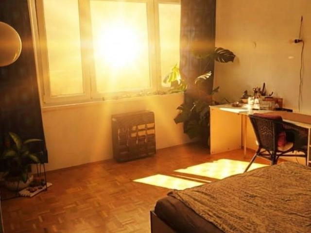 2 Schlafzimmer Wohnung Wien Wien 105435717