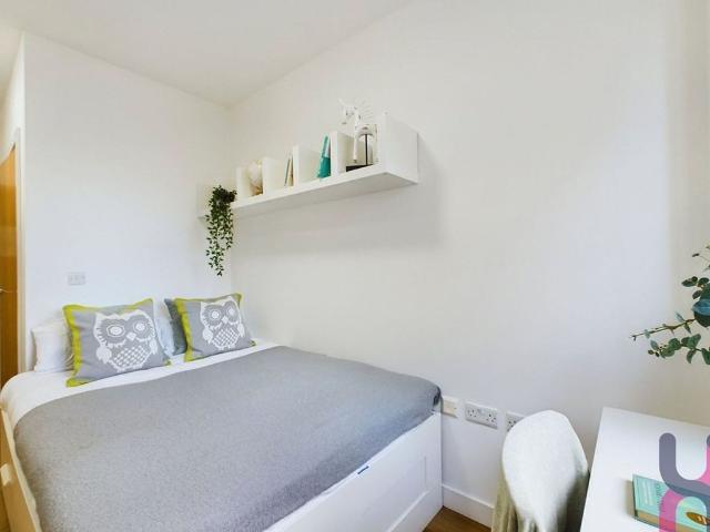 2 Seymour St, Liverpool L3, Property to rent, £559 pcm | PrimeLocation