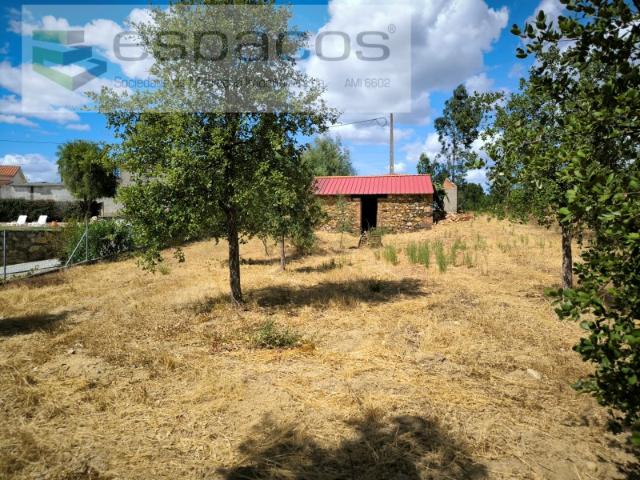 2 Terrenos com construção rural e ruinas Casal de Águas de Verão