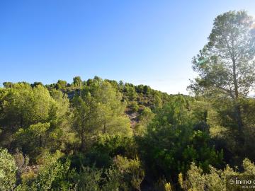 2 terrenos con un total de 215.546 m2 que constan de superficie de pastos, superficie de pinar maderable y superficie improductiva.  