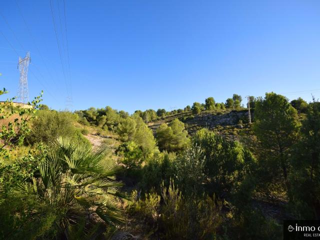 2 terrenos con un total de 215.546 m2 que constan de superficie de pastos, superficie de pinar maderable y superficie improductiva.  