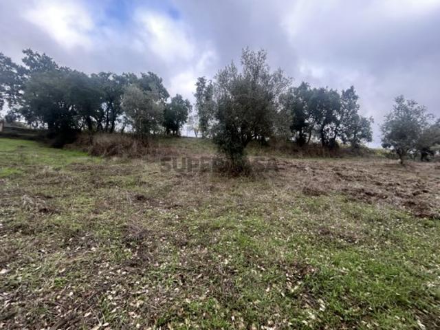2 terrenos rústicos com 7160m2 Aboboreira Fundeira, Tomar