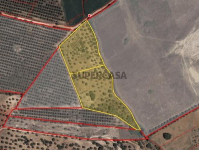 2 Terrenos Rústicos com área total de 14.320 m2, na freguesia de Brogueira, concelho de Torres Novas