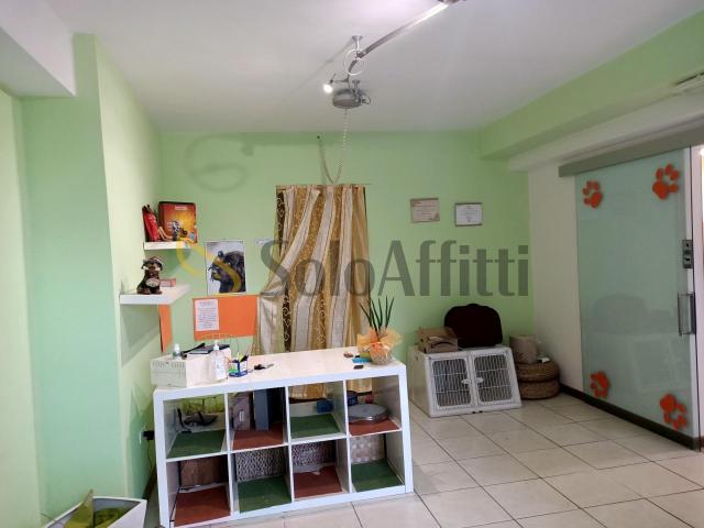 2 vetrine bilocale 50mq