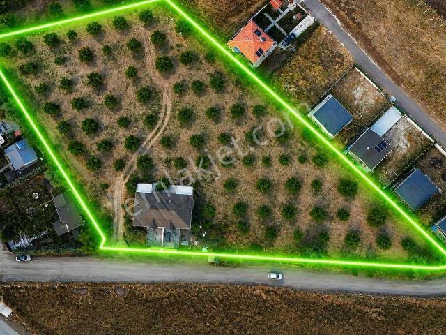 2 Villalı Ceviz Bahçesi | 7 Dönüm | Kiracılı | Yatırımlık