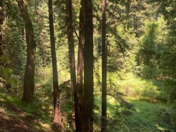 Tamalpais-Homestead Valley, Marin County, California, USA