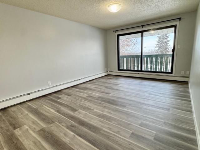 2 Weeks free Modern 2 Bedroom Apartment SMALL PET FRIENDLY!