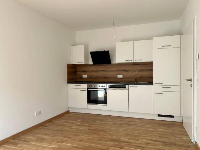 2 Zi Anlegerwohnung, ca. 4,2 % Rendite – Graz Straßgang