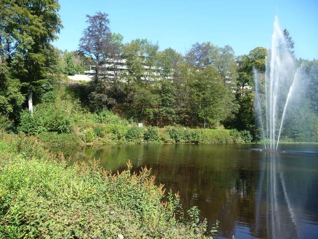 2 Zi. Whng. mit 18 qm SüdBalkon in herrlicher Lage am Kurpark