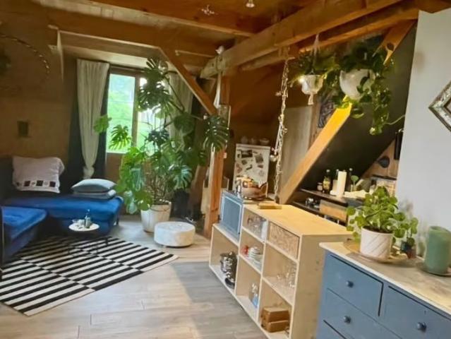 2 Zimmer, 40 m²